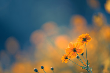 瑞典游戏加速器Stugan将于2016年重返森林