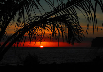 哈尔滨新增1例确诊曾乘火车到黑河，哈尔滨火车疫情车次