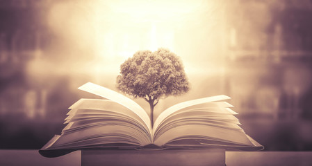 狐狸与孩子的幕后制作