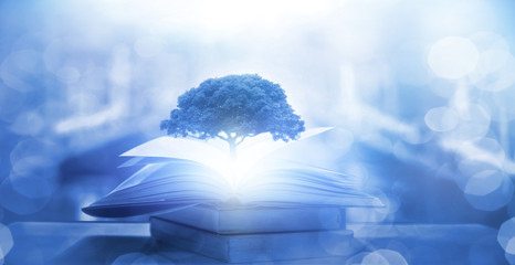 瑞典游戏加速器Stugan将于2016年重返森林