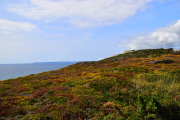 谁说宁次小时候喜欢雏田的-