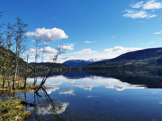 Whiteout生存在11个月内超过4亿美元