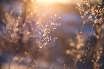 求一小品的一段台词。。