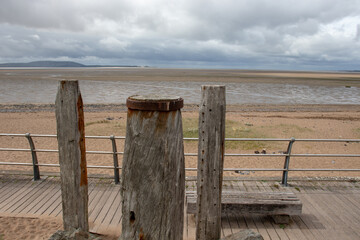 狐狸与孩子的幕后制作