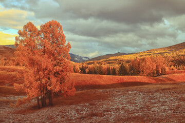 狐狸与孩子的幕后制作