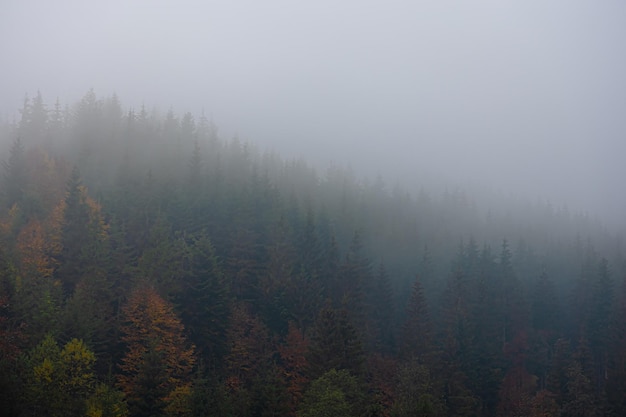 天音移动是正规的吗