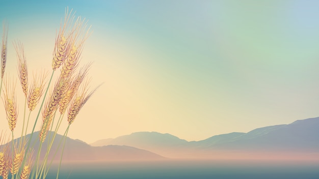 Whiteout生存在11个月内超过4亿美元