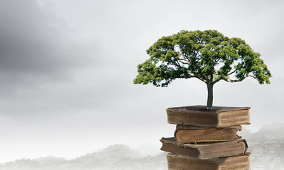 呼和浩特疫情最新情况（呼和浩特疫情最新情况）