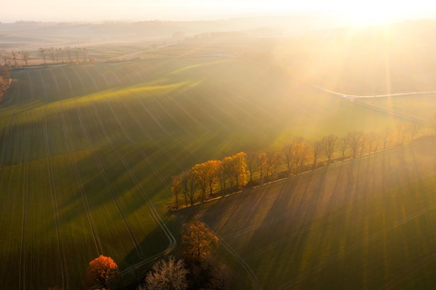 Whiteout生存在11个月内超过4亿美元