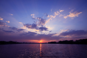 狐狸与孩子的幕后制作