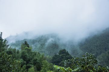 呼和浩特疫情最新情况（呼和浩特疫情最新情况）